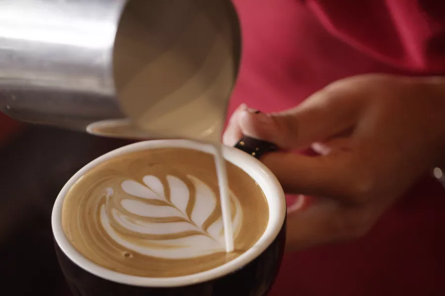 Barista creando arte latte en una taza de café mediante la técnica de vertido de leche, resaltando la dedicación y destreza detrás de cada bebida.