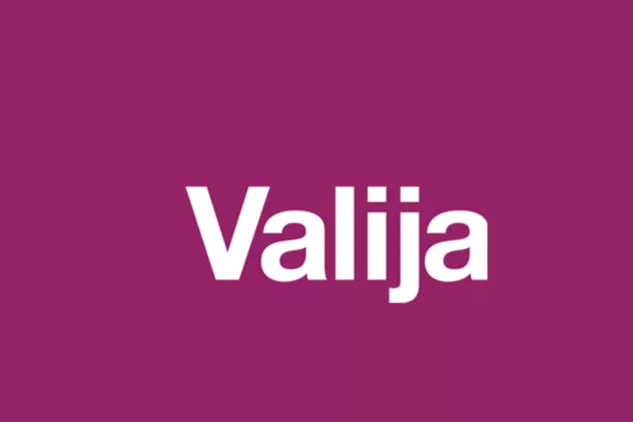 Valija Gitana Logo