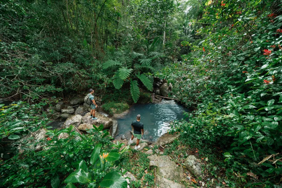 Two hikers stand on rocks beside a small natural pool in Toro Negro Forest, surrounded by dense green vegetation and a flowing stream.