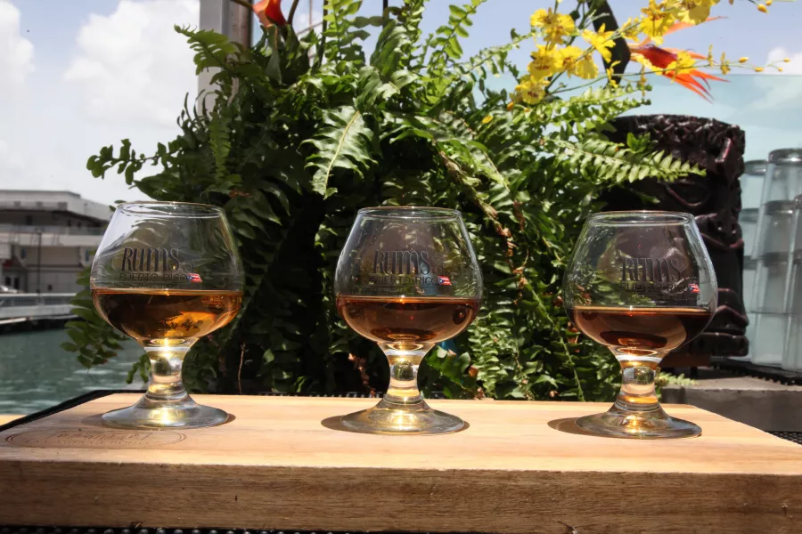 Three glasses of Puerto Rican rum tasting samples displayed on a wooden board with tropical plants in the background.
