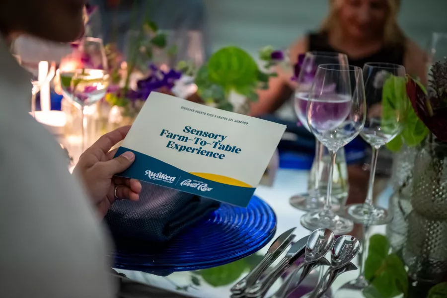 Sensory dinners