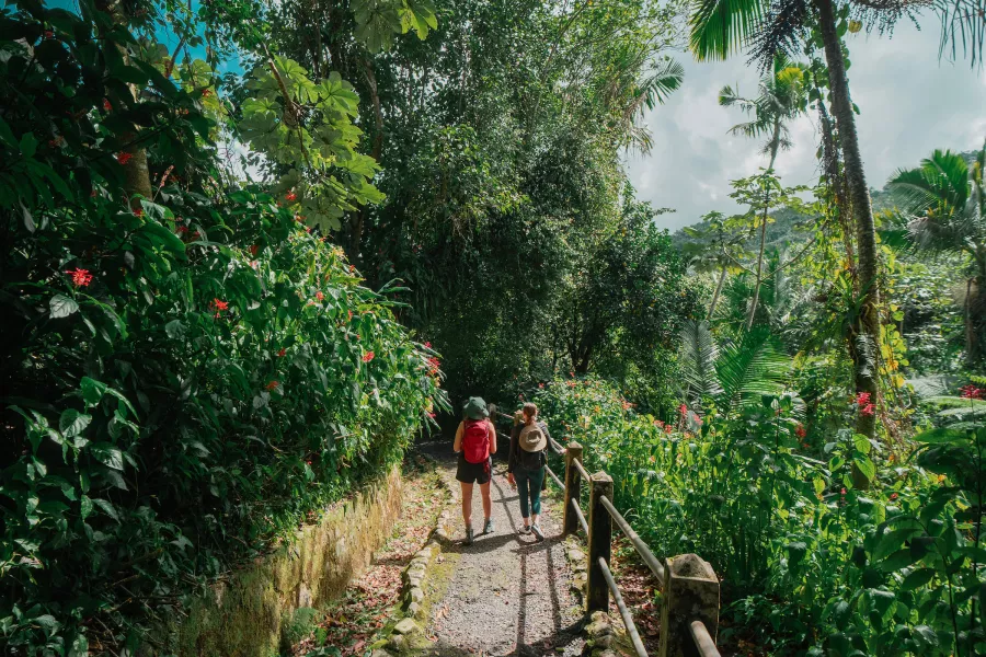Dos senderistas recorren un sendero del bosque tropical rodeado de vegetación tropical y árboles de gran altura en El Yunque National Forest, Puerto Rico.