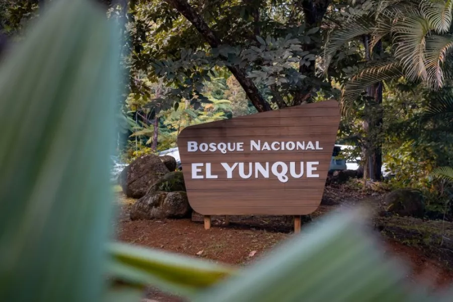 El Yunque sign.