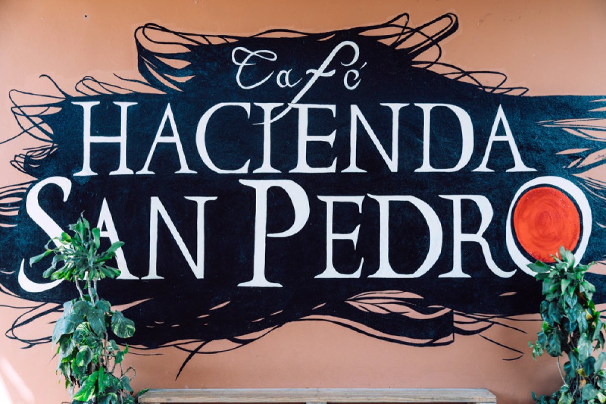 Hacienda San Pedro logo