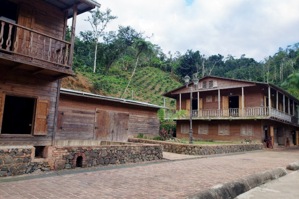 Visit Hacienda Lealtad in Lares to try local coffee.