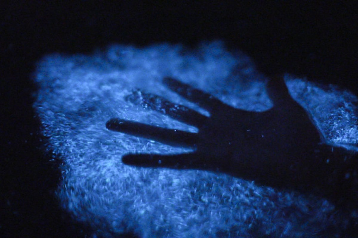 Hand in water at a bioluminescent bay.