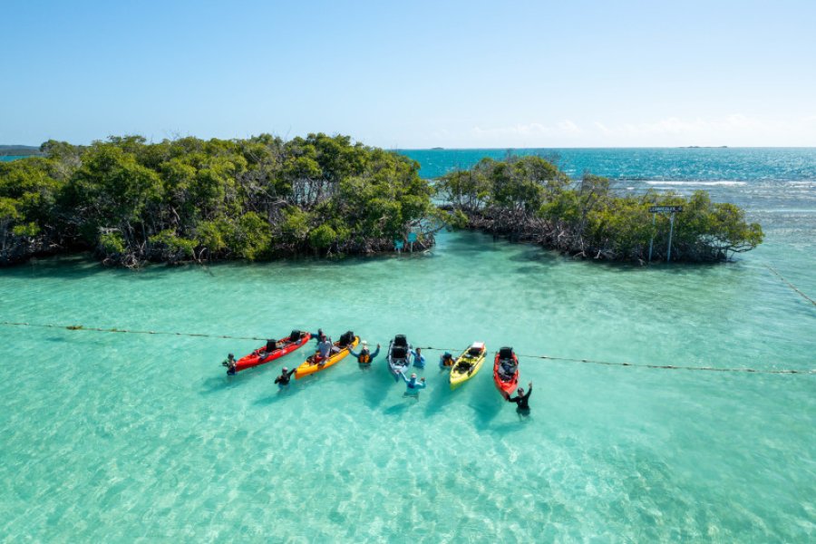 In Puerto Rico, it's easy to find an adventure that adapts to any ability level. 