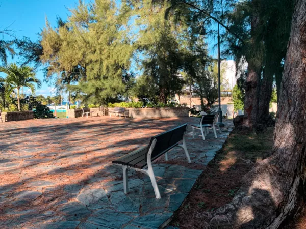 Área sombreada del Parque Luis Muñoz Rivera en San Juan, con bancos rodeados de árboles frondosos y vistas al océano, ideal para relajarse y disfrutar de una pausa al aire libre.