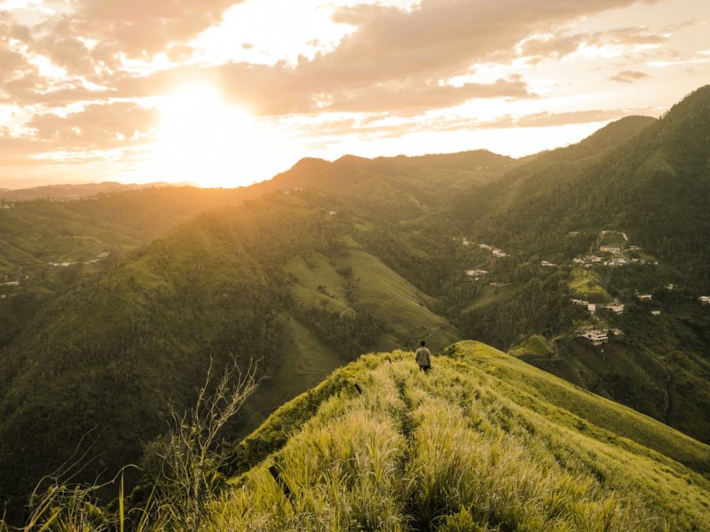 A man overlooks a lush valley.