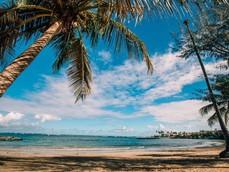 Palm trees frame a view of the ocean and beach at Balneario Manuel Morales