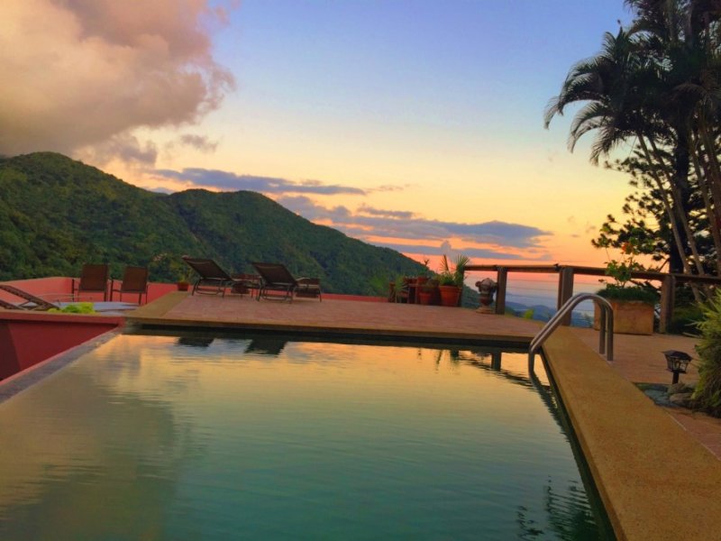 Vista a la piscina en Casa Flamboyant bed and Breakfast.