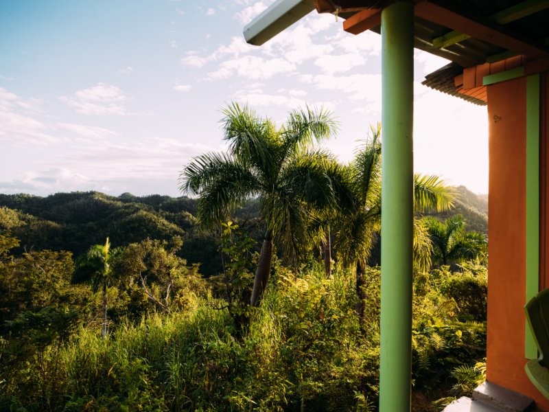 A panoramic view of lush foliage in Utuado.