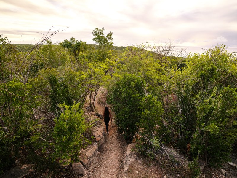 Hiking the Ballena trail 