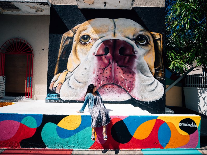 Santurce es Ley mural