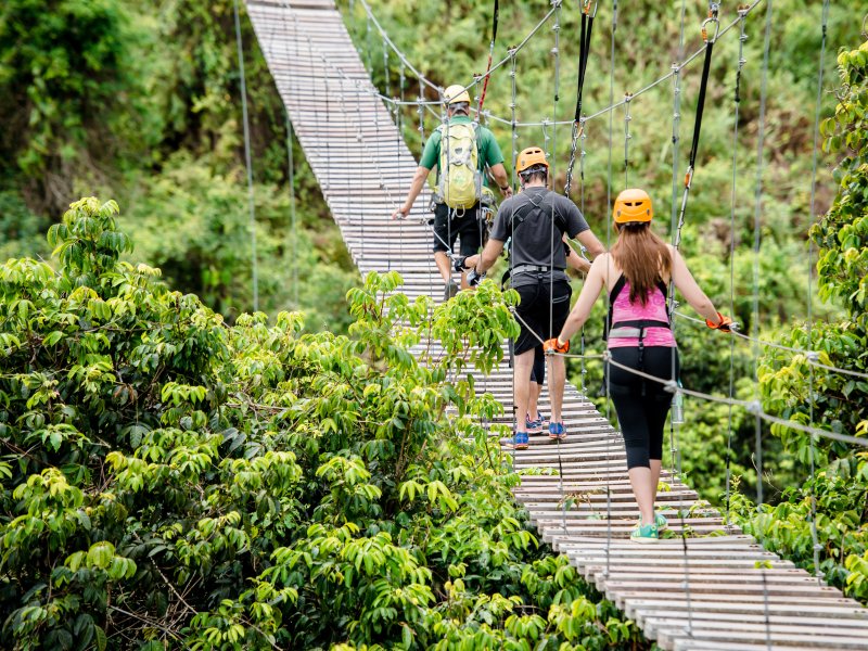 A group in Toro Verde Nature Adventure Park.