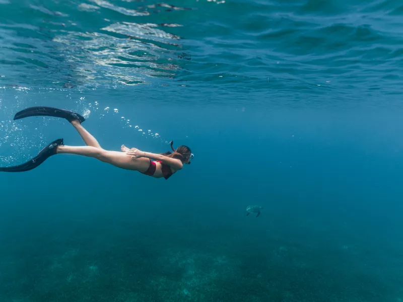 Snorkeling in Culebra