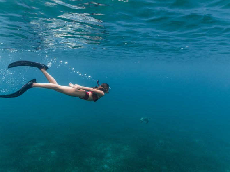 Snorkel en Culebra