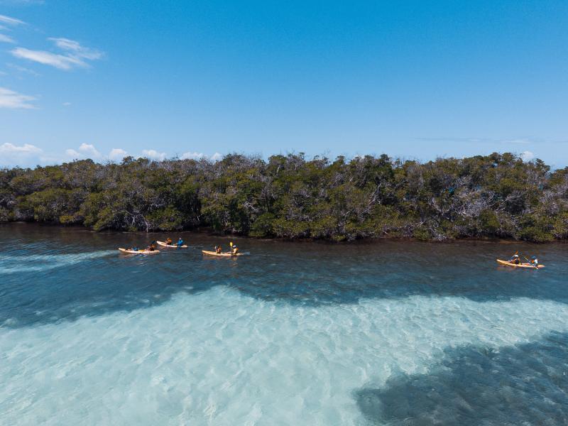 Kayak en La Parguera. 