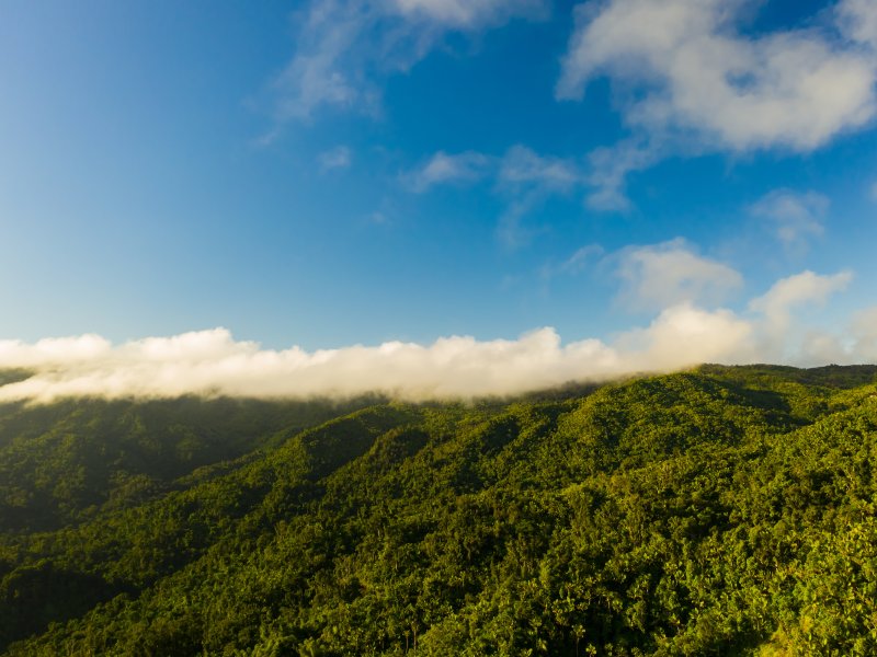 Aerial shot of El Yunque National Forest.