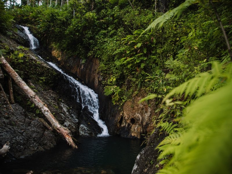El Yunque National Forest, Puerto Rico - Jusz Travel Weather el yunque puerto rico