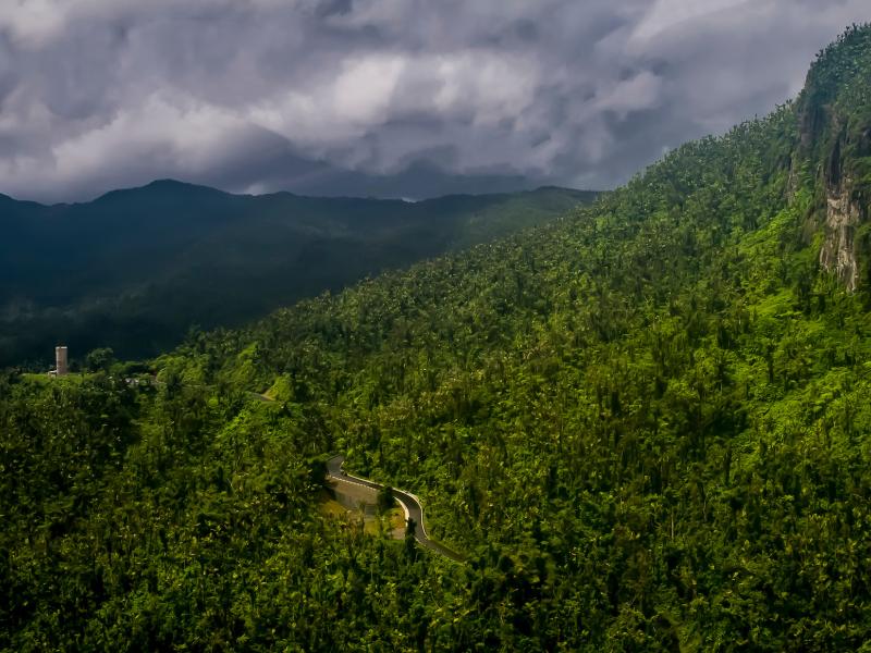 El Yunque es el único bosque tropical lluvioso en el Servicio Forestal Nacional de los Estados Unidos.