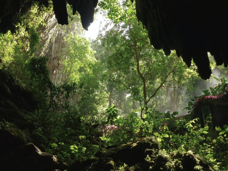 Camuy Caves