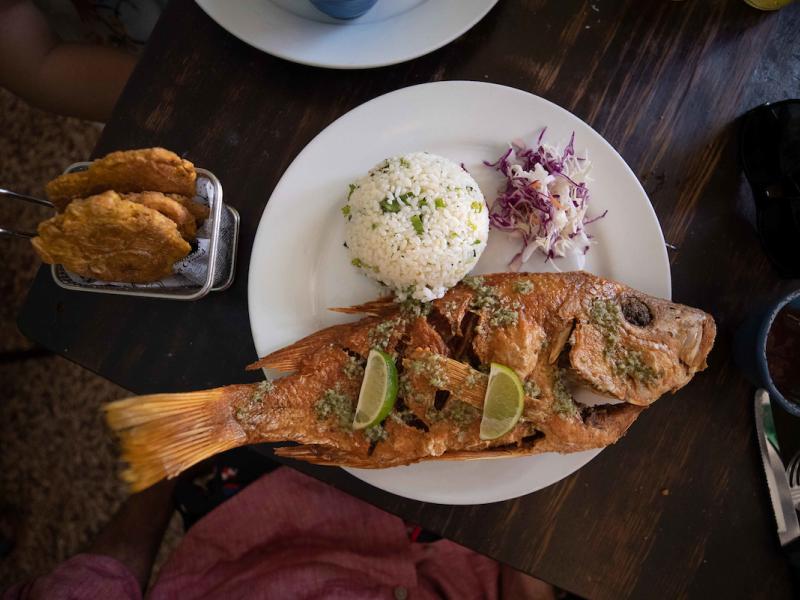 An image of a fried red snapper on a plate
