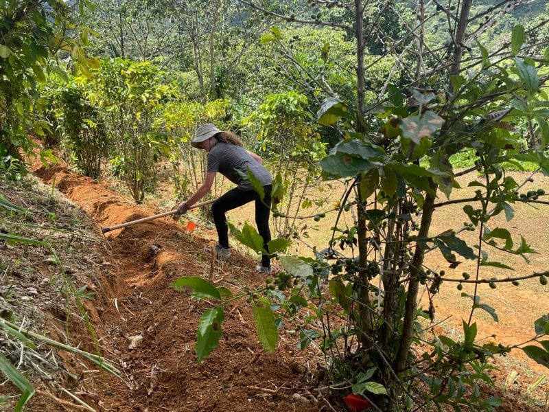 A woman works the land for resources for World Central Kitchen. 
