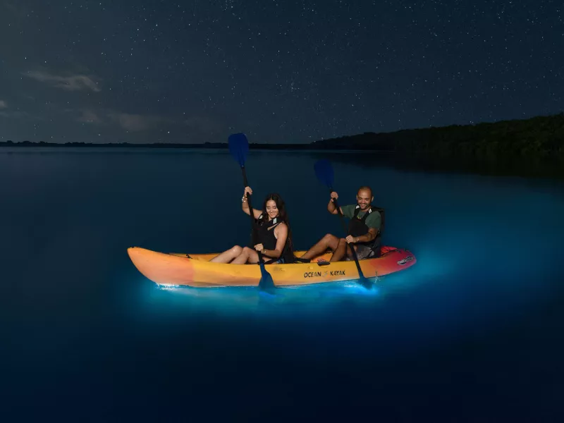 Kayakers paddling through Laguna Grande, a bioluminescent bay in Fajardo, Puerto Rico