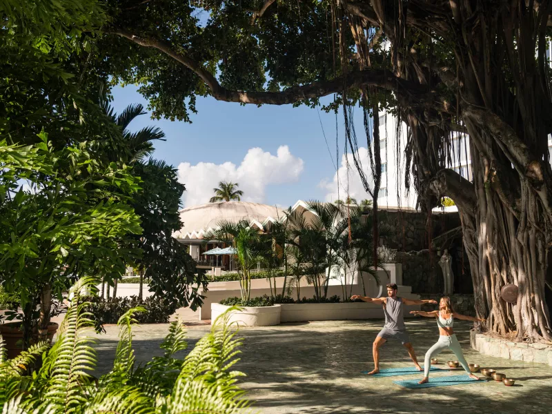 Couple doing yoga under a banyan tree.