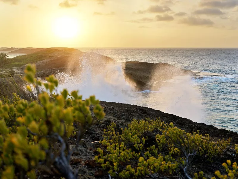 Well known for its blazing orange, lilac, and magenta sunsets, Rincón boasts some of the Island’s best beaches. 