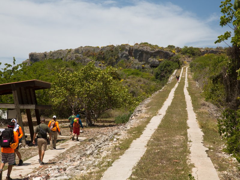 Group of people walking uphill.