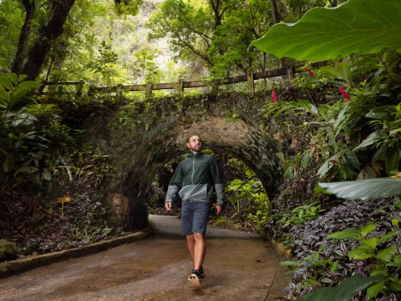 Man walking in the forest.