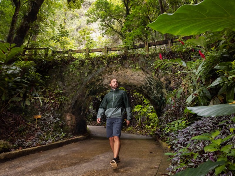 Man walking in the forest.