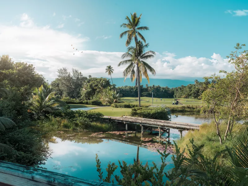 Scenic view of the golf course at The St. Regis Bahia Beach in Puerto Rico, with palm trees, a wooden bridge over water, and mountains in the background.