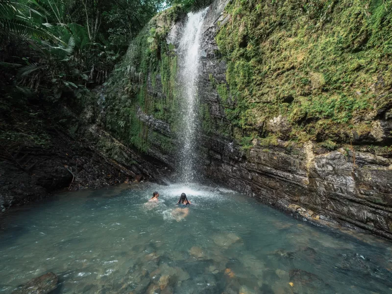 Exploring El Yunque National Forest | Discover Puerto Rico