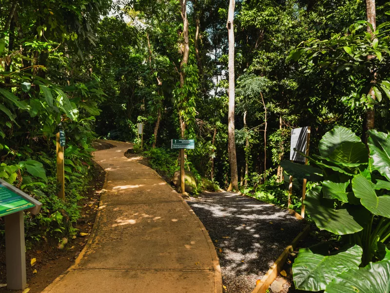PORTAL DEL YUNQUE