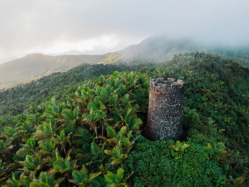 Yocahú Tower rising above the dense tropical forest in El Yunque, surrounded by lush palm canopy and mist-covered mountains in the background.