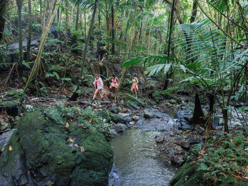 Senderistas cruzan un arroyo rocoso rodeado de exuberante vegetación tropical a lo largo de un sendero en El Yunque National Forest, Puerto Rico.
