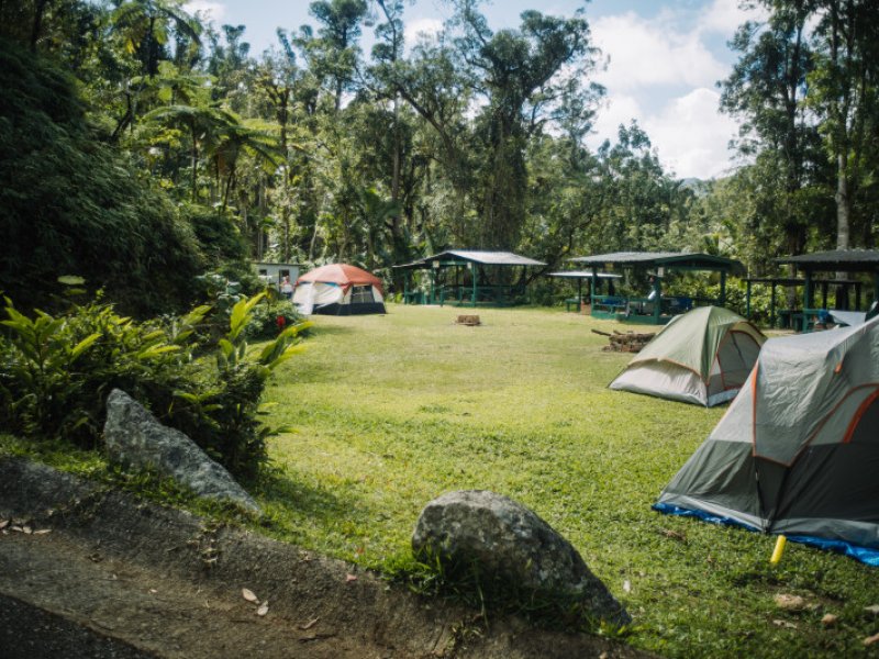 Área de Camping Toro Negro