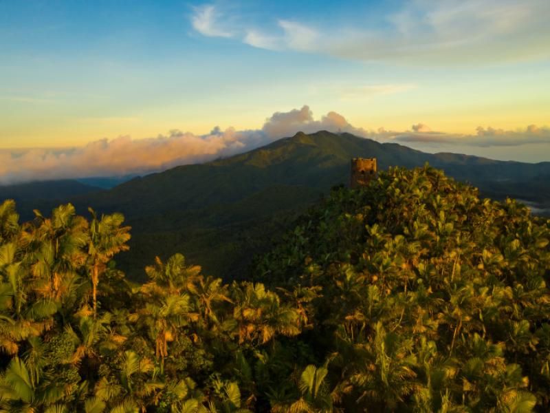 The green and lush mountains of El Yunque Rainforest meet the blue sky and clouds. The Mount Britton observation tower is also shown. 