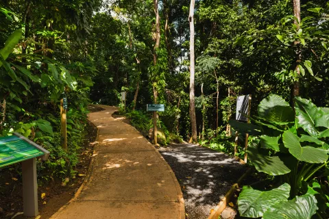 PORTAL DEL YUNQUE