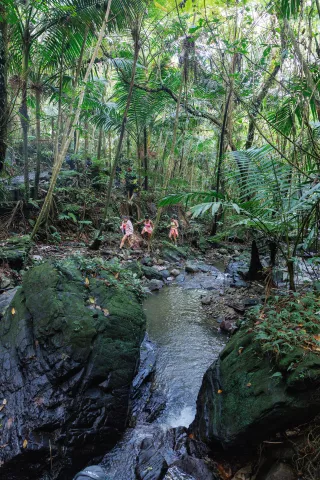 El Yunque