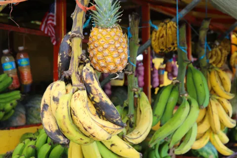 National Banana Festival