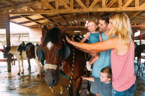 Carabali Rainforest Adventure Park Discover Puerto Rico