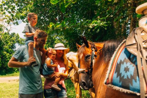 Carabali Rainforest Adventure Park Discover Puerto Rico