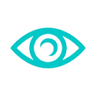 Icon of an eye