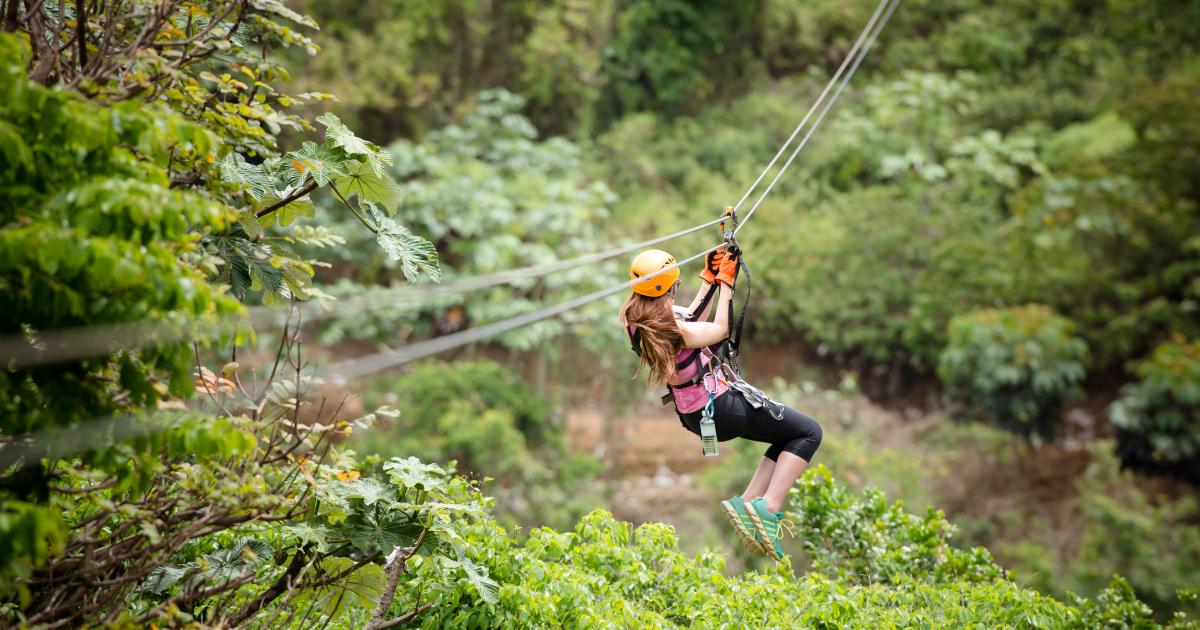 Visit Toro Verde Nature Adventure Park Discover Puerto Rico