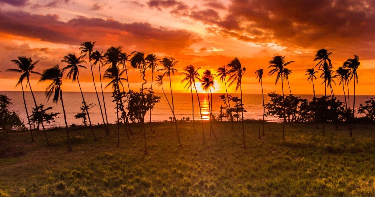 Discover Puerto Rico's West Coast: Surf, Sun & Culture