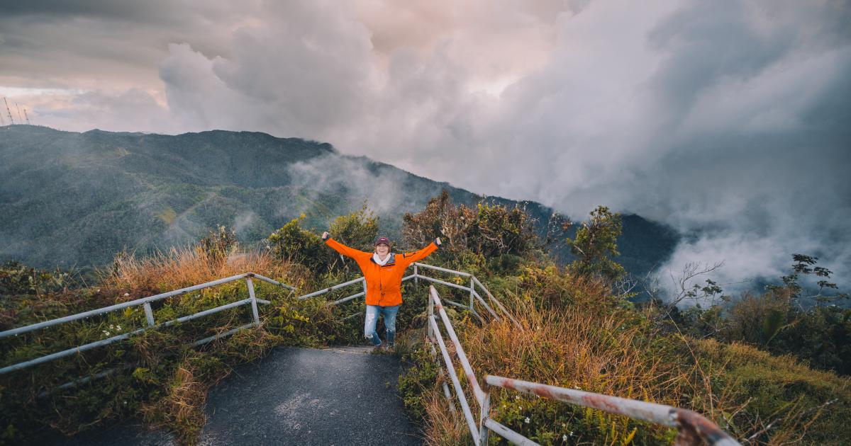 Explore the Outdoors Puerto Rico's Top Nature Tours Discover Puerto Rico